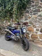 Dax honda 125 cc, Motoren, Motoren | Honda, Particulier, 125 cc