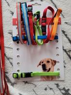 Puppy halsbandjes, Ophalen of Verzenden, Zo goed als nieuw