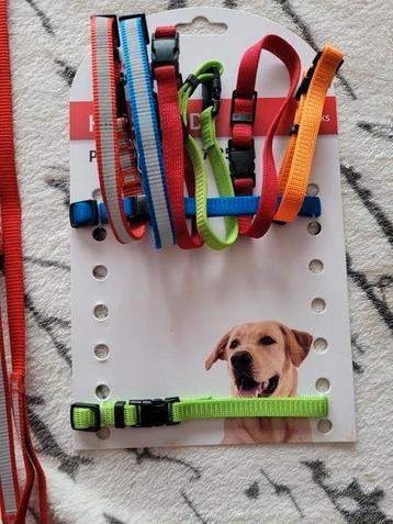 Puppy halsbandjes beschikbaar voor biedingen
