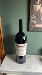 3L Salice Salentino ( Terre di Puglia) 2010, Verzamelen, Nieuw, Rode wijn, Vol, Italië