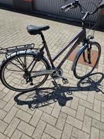 Thompson damesfiets, Fietsen en Brommers, Ophalen, Zo goed als nieuw