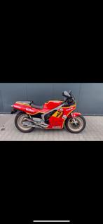 Suzuki rg 500 (Barry Sheene rx27 rep.), 499 cc, 4 cilinders, Motorrijbewijs A, Super Sport