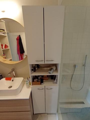 Armoire de salle de bain. beschikbaar voor biedingen