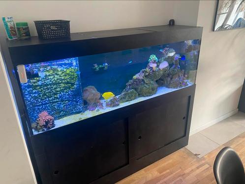 Recital aquarium 300 liter, Dieren en Toebehoren, Vissen | Aquaria en Toebehoren, Gebruikt, Gevuld zeewateraquarium, Ophalen