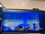 aguarium 110/43/53 decoratie vissen alles ik kan je brengen, Ophalen of Verzenden, Zo goed als nieuw