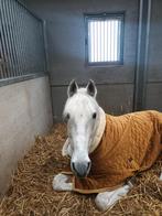 Kentucky velvet geel 6.9, Dieren en Toebehoren, Ophalen of Verzenden, Zo goed als nieuw, Deken