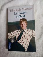 Livre les anges brûlent Thibaut de montaigu, Boeken, Ophalen of Verzenden, Thibault de montaigu