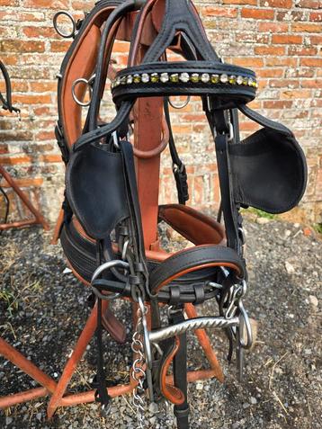 Ideal lederen combinatie tuig - pony - 2 stuks, Enlèvement, Comme neuf