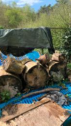Stammen brandhout, Troncs d'arbres, Chêne, Enlèvement ou Envoi, Moins de 3 m³
