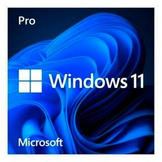 Professionele Windows-installatie – Wereldwijd op afstand, Computers en Software, Besturingssoftware, Zo goed als nieuw, Windows