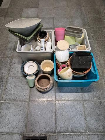 Bloempotten beschikbaar voor biedingen