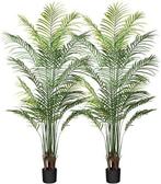 kunstmatige Areca-palm | GRATIS LEVERING, Binnen, -, Verzenden, -