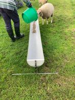 Voergoot voor schapen of geiten