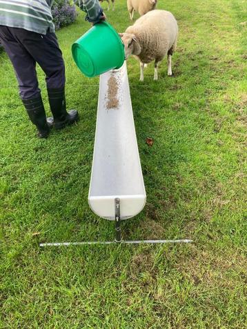 Voergoot voor schapen of geiten beschikbaar voor biedingen