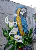 Muurschilderingen en graffiti op aanvraag, Antiek en Kunst, Ophalen of Verzenden
