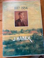 Kunstboek J.HABEX uitgave Heemkring Heidebloemke Genk, Ophalen of Verzenden, Zo goed als nieuw, Schilder- en Tekenkunst