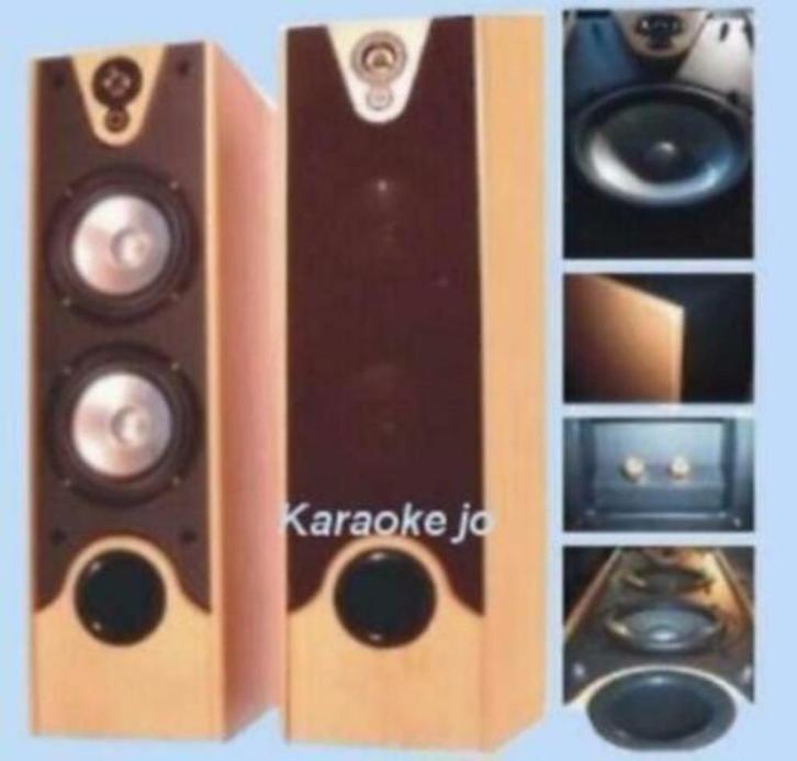 Speakers 2 x 180 Watt beuken houten kast op Spikes, Audio, Tv en Foto, Luidsprekerboxen, Nieuw, Front, Rear of Stereo speakers
