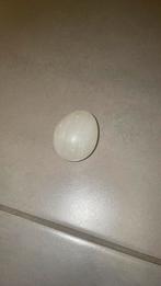 Œuf en pierre, Enlèvement ou Envoi, Comme neuf