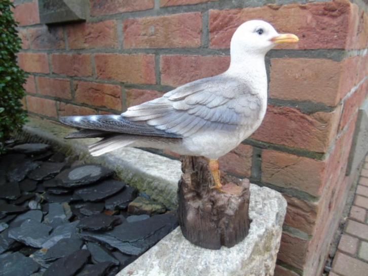 statue mouette , parfait imitation d une vraie !, Jardin & Terrasse, Statues de jardin, Neuf, Animal, Synthétique, Enlèvement