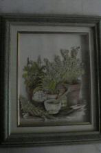 Kruidenkader 3-D, Huis en Inrichting, Woonaccessoires | Lijsten, Ophalen of Verzenden, Zo goed als nieuw