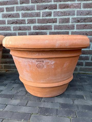 2 Zeer Exclusieve Hele Grote Impruneta Terracottabloempotten beschikbaar voor biedingen