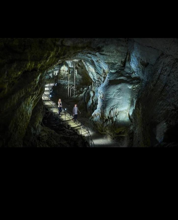 3 tickets Grotten van Han. 2 volw. + 1 kind, Tickets en Kaartjes, Recreatie | Dierentuinen, Drie personen of meer, Ticket of Toegangskaart