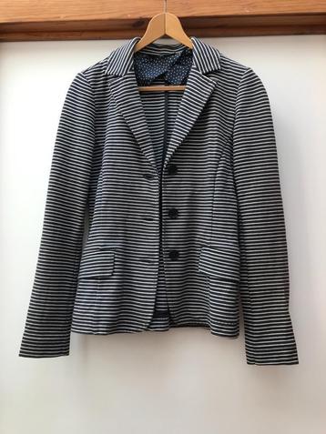 Weekend Max Mara jasje, Enlèvement ou Envoi, Taille 36 (S), Comme neuf, Bleu