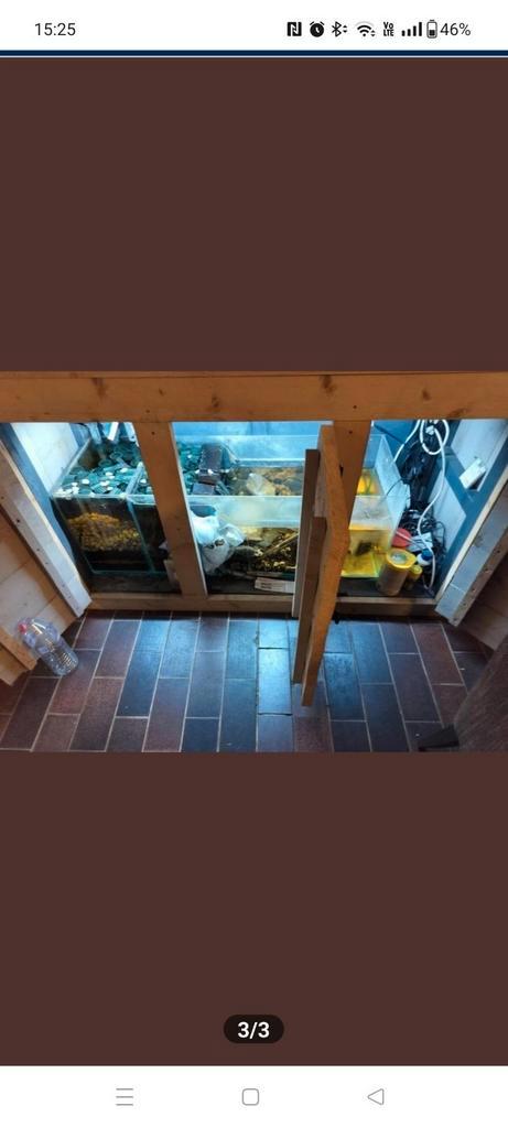 Moet vandaag weg, Dieren en Toebehoren, Vissen | Aquaria en Toebehoren, Zo goed als nieuw, Ophalen