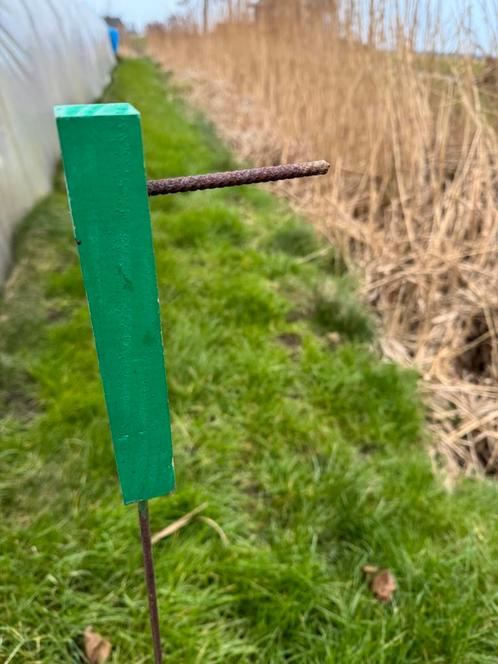 Markeerpaaltjes, Tuin en Terras, Kweekspullen, Ophalen