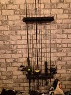 Ioda hengel voor forelvissen Daiwa reel