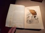 Oeuvres complètes de Buffon vers 1855 12 volumes + 4 suppl., Enlèvement ou Envoi