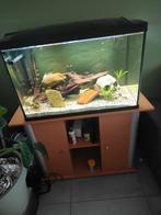 Aquarium met meubel en inhoud, Enlèvement