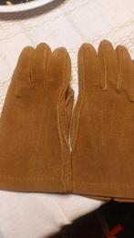 Handschoenen dames, daim, Enlèvement ou Envoi, Comme neuf, Gants