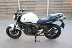 Yamaha FZ6N S2 2008 | Gloednieuwe banden, Motoren, Motoren | Yamaha, 4 cilinders, Particulier, Meer dan 35 kW, 600 cc