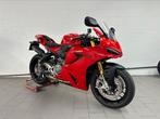 DUCATI PANIGALE V2S***TERMIGNONI***DUCATI SAMBREVILLE, Motoren, 2 cilinders, 890 cc, Motorrijbewijs A, Bedrijf