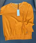 NIEUWE Xandres trui, Xandres, Ophalen of Verzenden, Nieuw, Maat 36 (S)