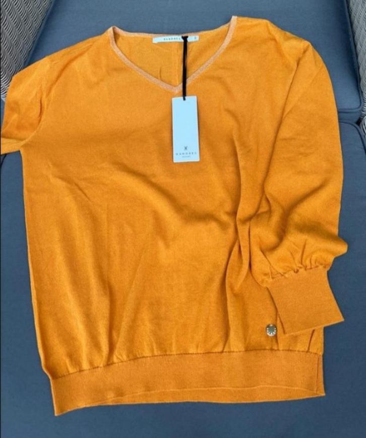 NIEUWE Xandres trui, Kleding | Dames, Truien en Vesten, Nieuw, Maat 36 (S), Ophalen of Verzenden
