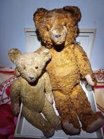 Teddy  Bear  Des Années 50., Ophalen