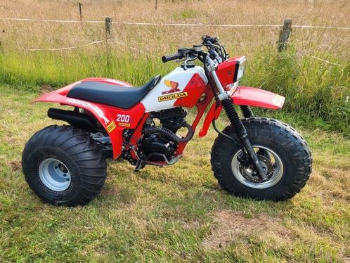 Honda ATC 200X, Motoren, Quads en Trikes, 11 kW of minder, 1 cilinder, Ophalen