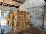 40 kleine balen stro, Zakelijke goederen, Landbouw | Veevoer, Ophalen