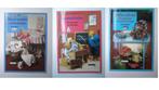 lot van 3 boeken: manden bekleden / Berentaferelen/ Stiffies, Boeken, Ophalen of Verzenden, Nieuw, Overige onderwerpen, Lemstra/Ligteringen/Beine