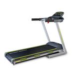 Tapis de course, Sport en Fitness, Loopsport en Atletiek, Ophalen, Zo goed als nieuw, Hardlopen, Overige typen
