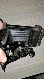 Oude kodakken, Enlèvement