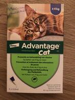 Advantage cat, Enlèvement ou Envoi, Neuf