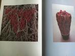 boek: bladeren in bloemen 1 + 2/Daniël Ost, Boeken, Ophalen of Verzenden, Zo goed als nieuw, Bloemschikken, Groendecoratie
