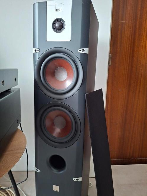 Dali Lektor 6, Audio, Tv en Foto, Luidsprekerboxen, Gebruikt, Front, Rear of Stereo speakers, 120 watt of meer, Overige merken