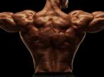 Transformeer je Lichaam met een Persoonlijk Trainingsschema., Sport en Fitness, Overige Sport en Fitness, Verzenden, Nieuw