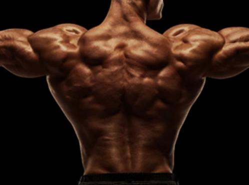 Transformeer je Lichaam met een Persoonlijk Trainingsschema., Sport en Fitness, Overige Sport en Fitness, Nieuw, Verzenden