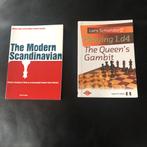 2 schaakboeken, Boeken, Studieboeken en Cursussen, Ophalen of Verzenden, Zo goed als nieuw