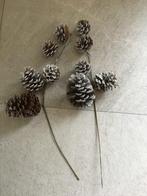 Denneappels op draad/Nieuw, Ophalen of Verzenden, Nieuw